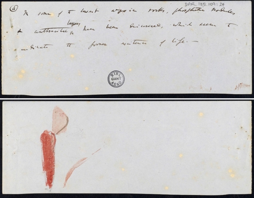 enfant-dessin-darwin-manuscrit-origine-espece-07-1080x846.jpg