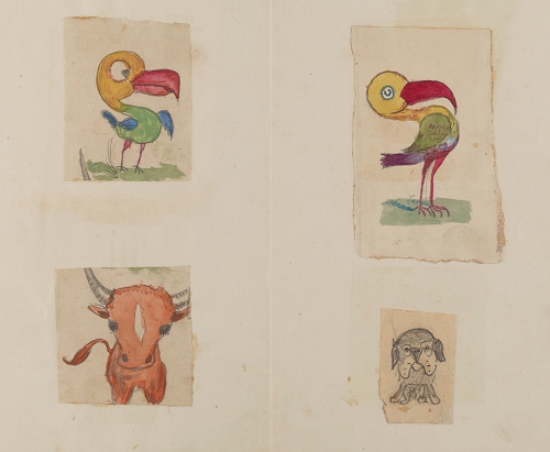 enfant-dessin-darwin-manuscrit-origine-espece-11.jpg